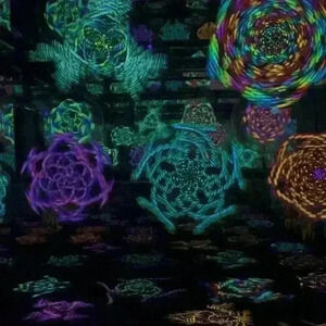 Live show item as described in live show